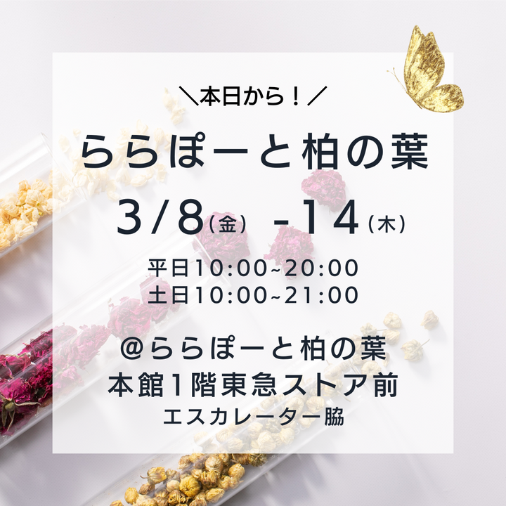 ららぽーと柏の葉出店中💝