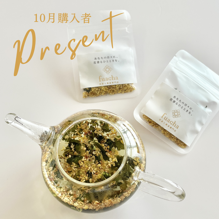 10月購入者全員プレゼント!