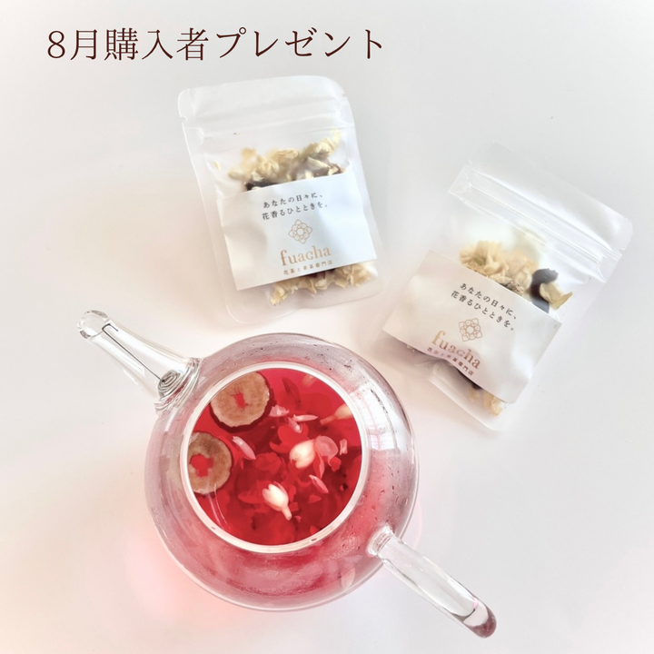 8月ご購入者プレゼント!