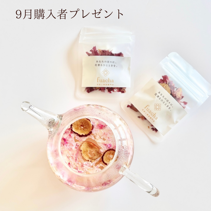 9月ご購入者全員プレゼント!