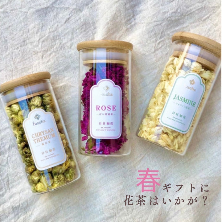 3月限定!春ギフト特別価格