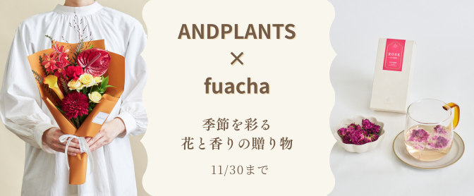 【ANDPLANTS × fuacha コラボ】 秋の花束×ばら花冠茶の限定ギフト登場!