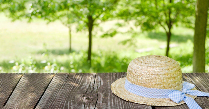 夏バテから体を守ろう。暑い夏を軽やかに乗り切るには?