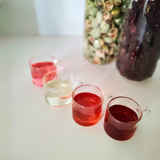 【今月の花と果実】ハイビスカス×シトラス ブレンドティー4袋セット