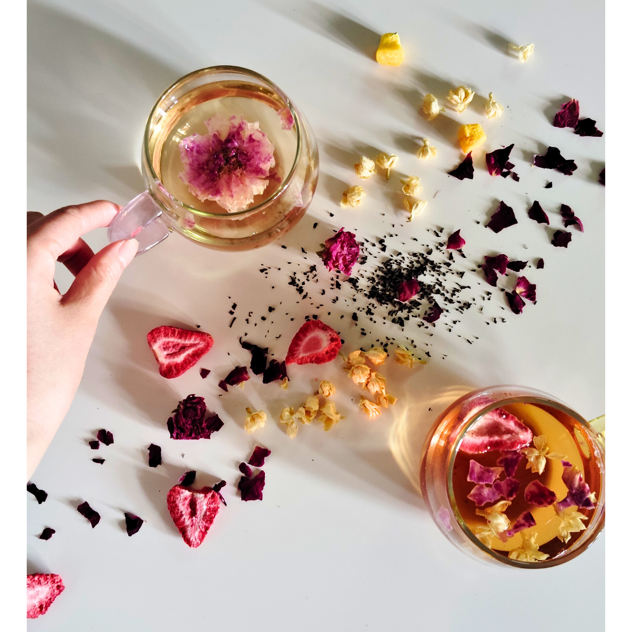 今月の花と果実画像