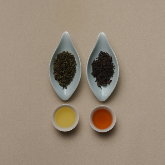 烏龍茶 飲み比べセット
