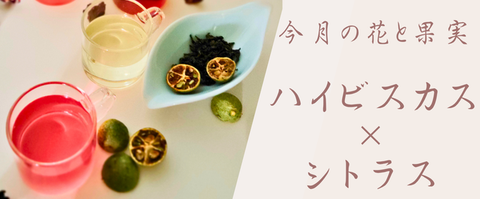 今月の花と果実